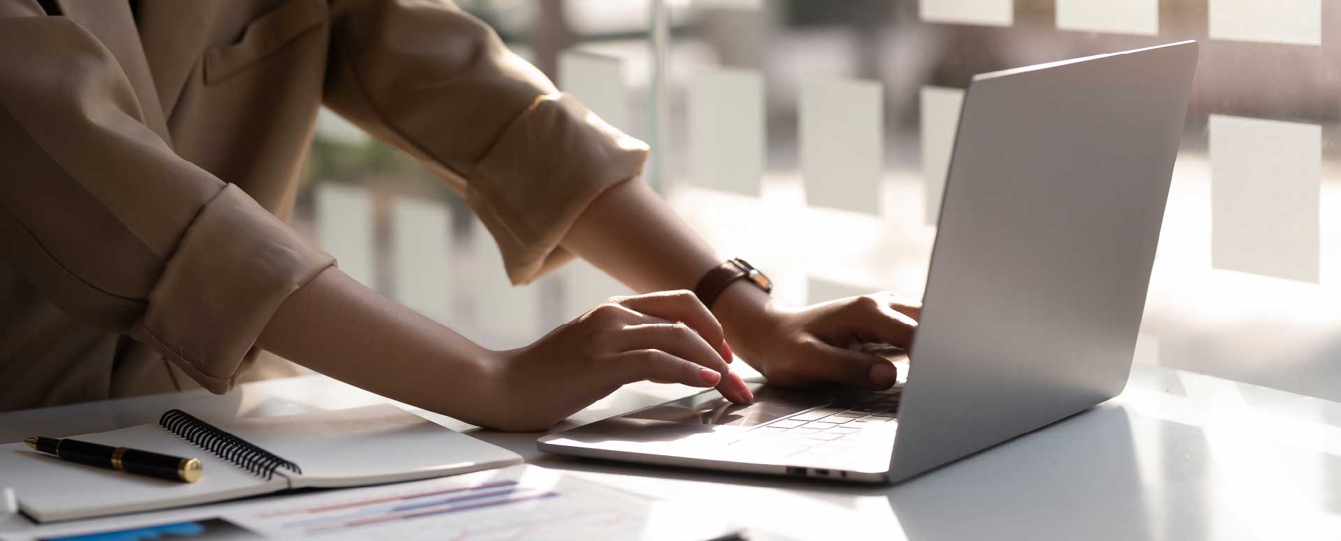 Person Using Laptop